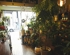 store