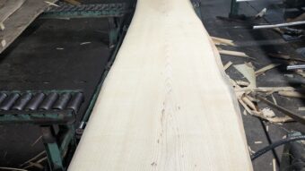 2026年4月の主要在庫と入港予定のアイキャッチ画像