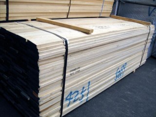 yellowpoplar_01